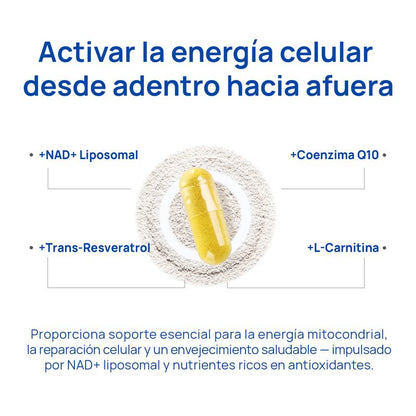 Selerb NAD+ Suplemento para Hombres - Soporte de Energía, Circulación y Próstata